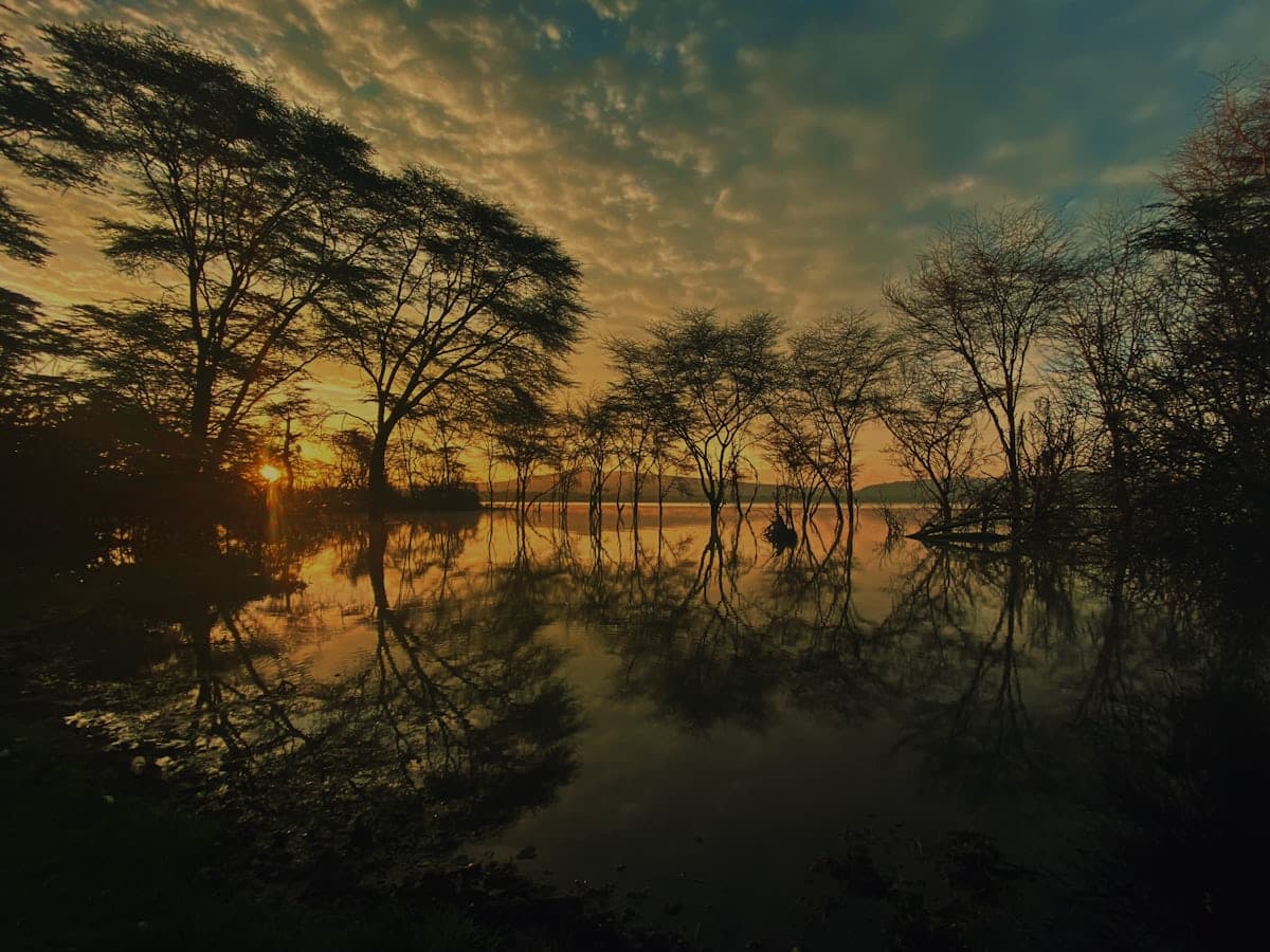 Watamu
