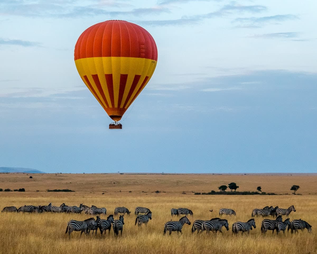 Maasai mara 