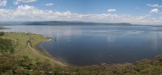 Lake Naivasha safari